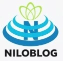 نیوتن